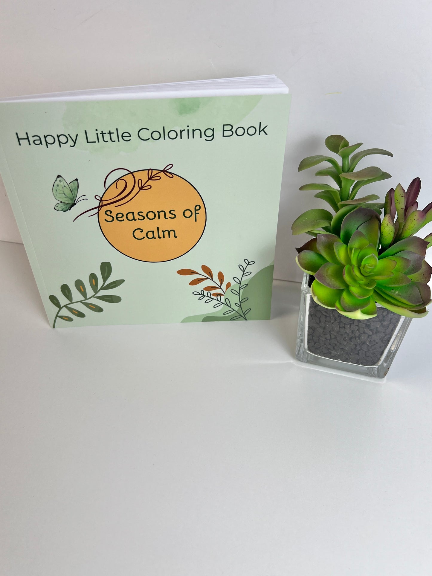 Seasons to Unwind- Coloring for Calm